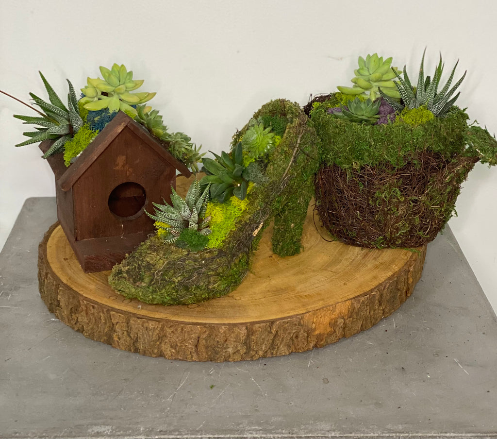 Succulent Class with The Plant People and Simonet's Bar **Must be 21+