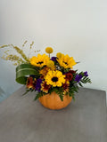 Pumpkin love