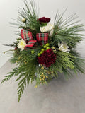 White Pine Delight