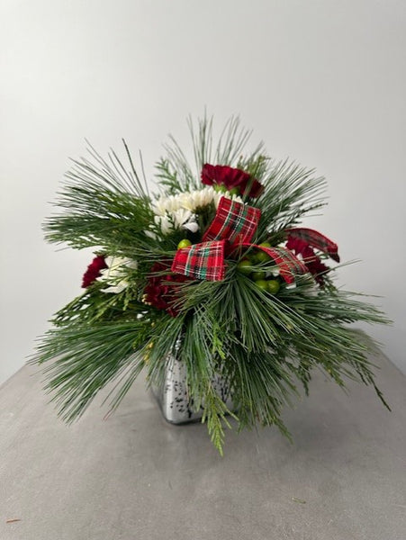 White Pine Delight