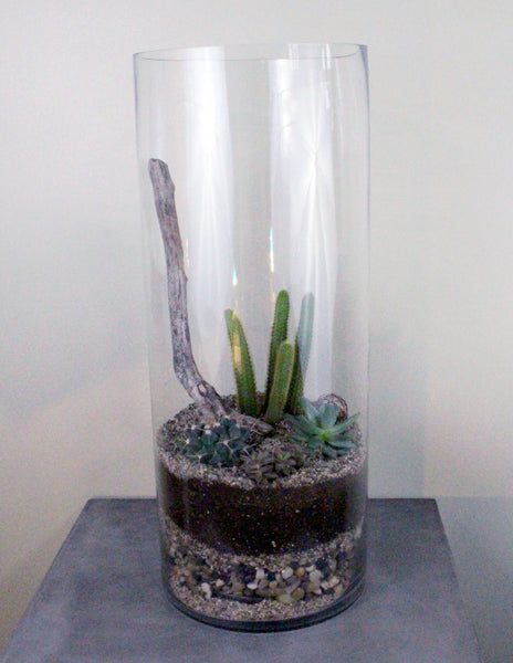 Cacti & Succulent Terrarium Garden -TALL