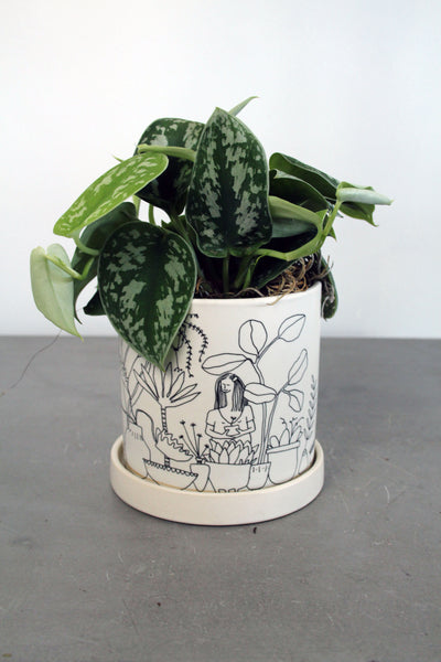 Green Plant in Plant Lady Container- Small