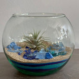 July 25th Summer Session - Create an Air Plant Terrarium