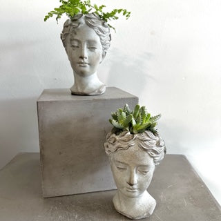 July 11th Summer Series - Create an Easy to care for Fern or Succulent Goddess Head $25.00