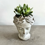 July 11th Summer Series - Create an Easy to care for Fern or Succulent Goddess Head $25.00