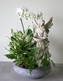 Indoor Garden Bowl with An Angel Statue & Orchid
