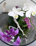 Orchids in a Glass Cylinder