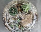 Cacti & Succulent Terrarium Garden -LARGE BOWL