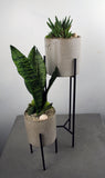 Veranda Plant Stand Single, Duo or Trio with Succulent Varieties