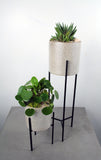 Veranda Plant Stand Single, Duo or Trio with Succulent Varieties