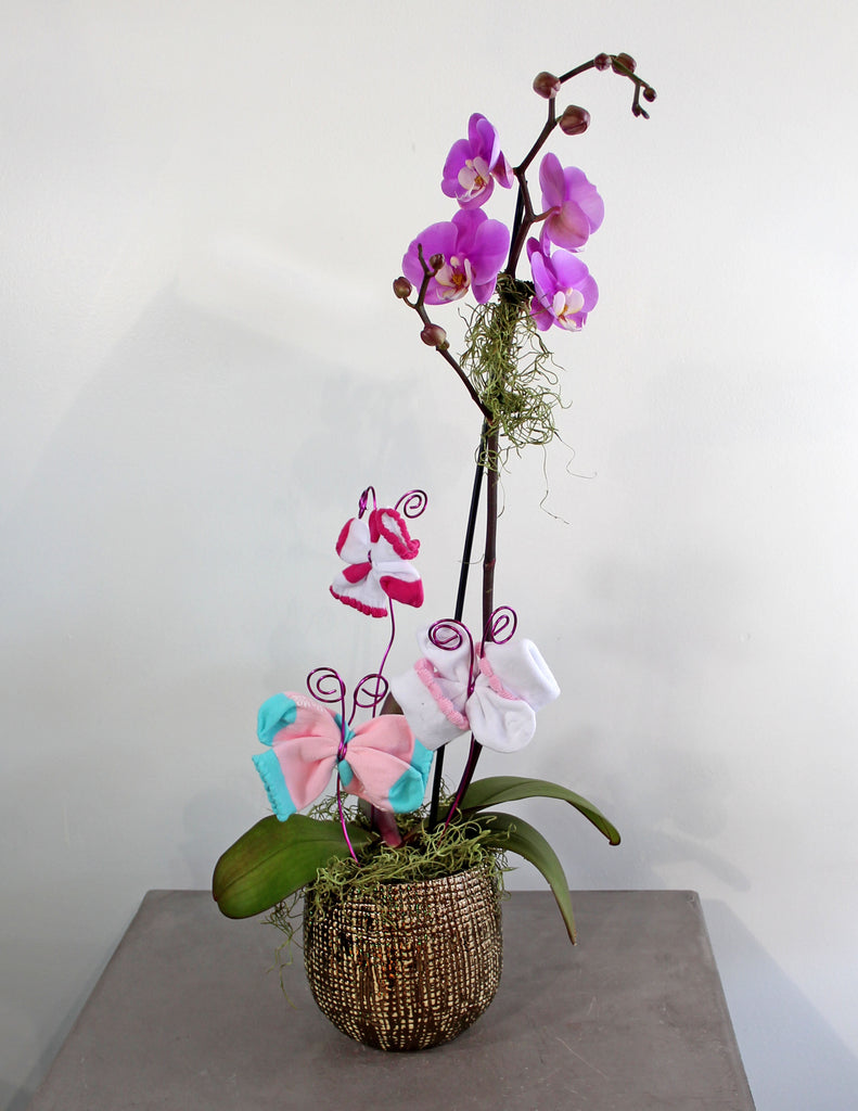 Orchid for a New Baby